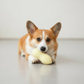 Eco-Friendly Natural Rubber Chew & Teeth Cleaning Toy for Dogs & Cats