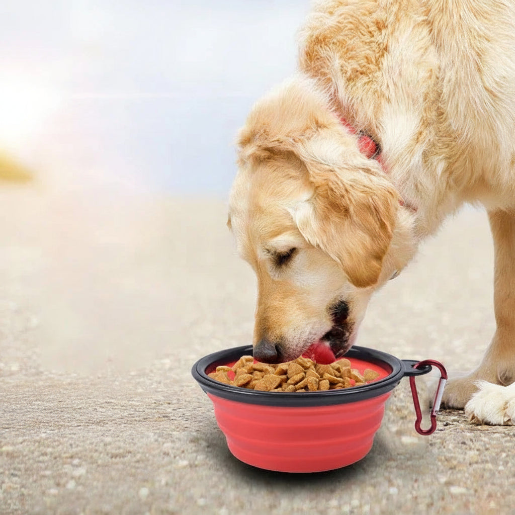 Eco-Friendly Collapsible Silicone Pet Travel Bowl – 350ml