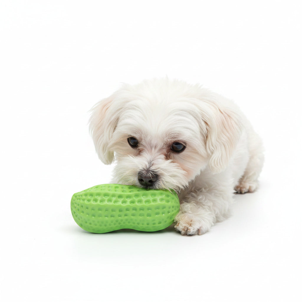 Eco-Friendly Natural Rubber Chew & Teeth Cleaning Toy for Dogs & Cats