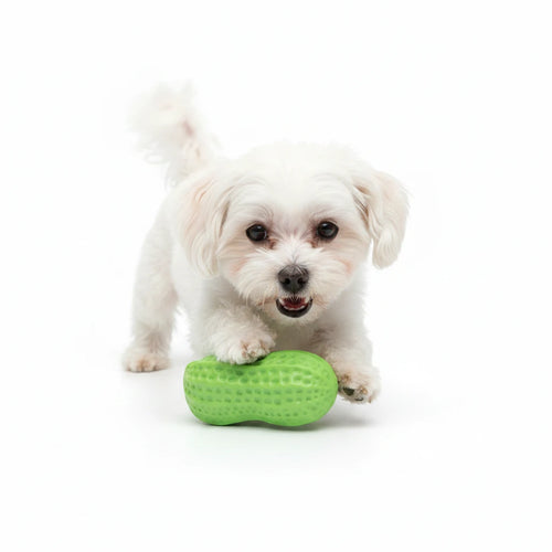 Eco-Friendly Natural Rubber Chew & Teeth Cleaning Toy for Dogs & Cats