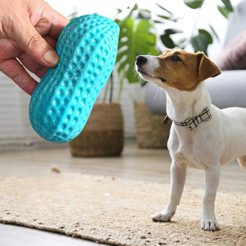 Eco-Friendly Natural Rubber Chew & Teeth Cleaning Toy for Dogs & Cats