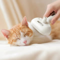 Eco-Friendly Pet Steam Spray Massage Comb for Dogs & Cats